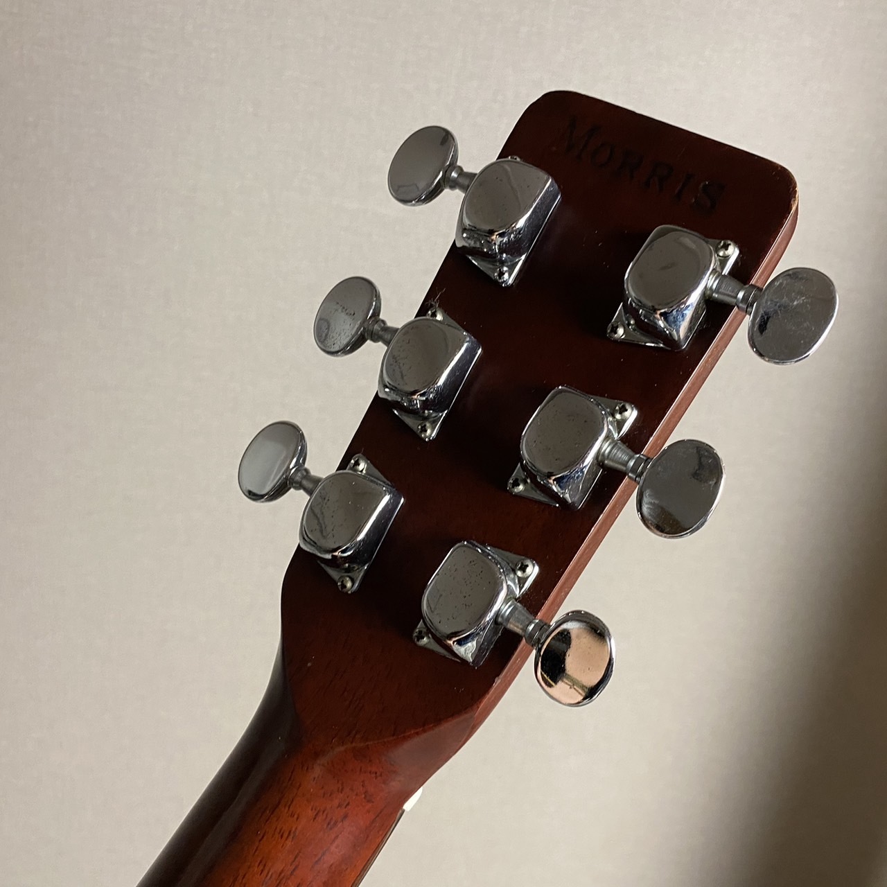 Morris W-20 Acoustic Guitar Used Acoustic Guitar | eBay