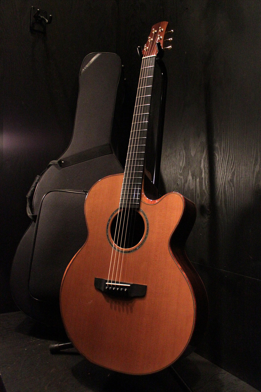 ASTURIAS GRAND SOLO Premio Model CR 2022（中古）【楽器検索