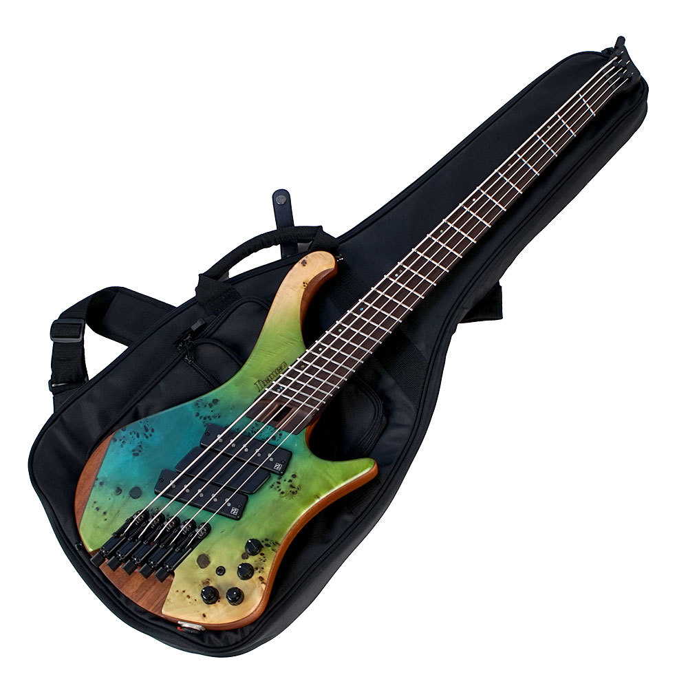 Amazon.com: Ibanez Bass Workshop EHB1505MS Bass Guitar