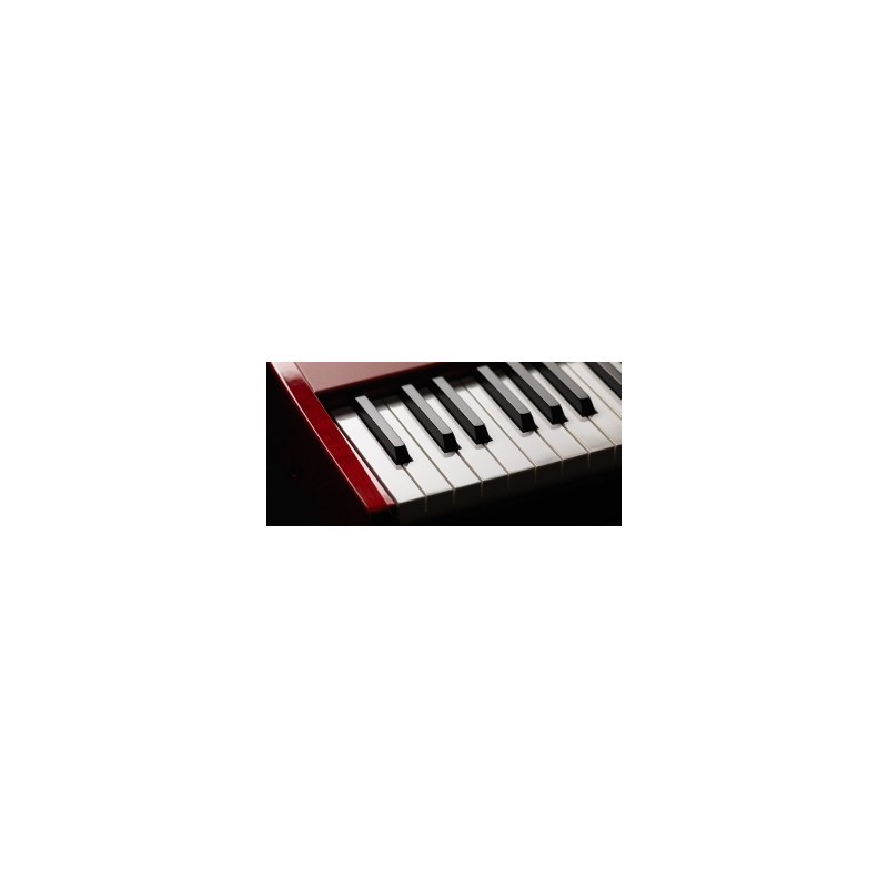 可愛いクリスマスツリーやギフトが Nord Clavia Stage 3 Hp 76 Stage3キーボードスタンドプレゼントキャンペーン対象 Www Dexion Com Au