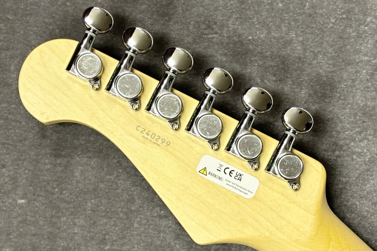 FUJIGEN(FGN) BCTE100RBD-CAR/01【GIB兵庫】（B級特価/送料無料