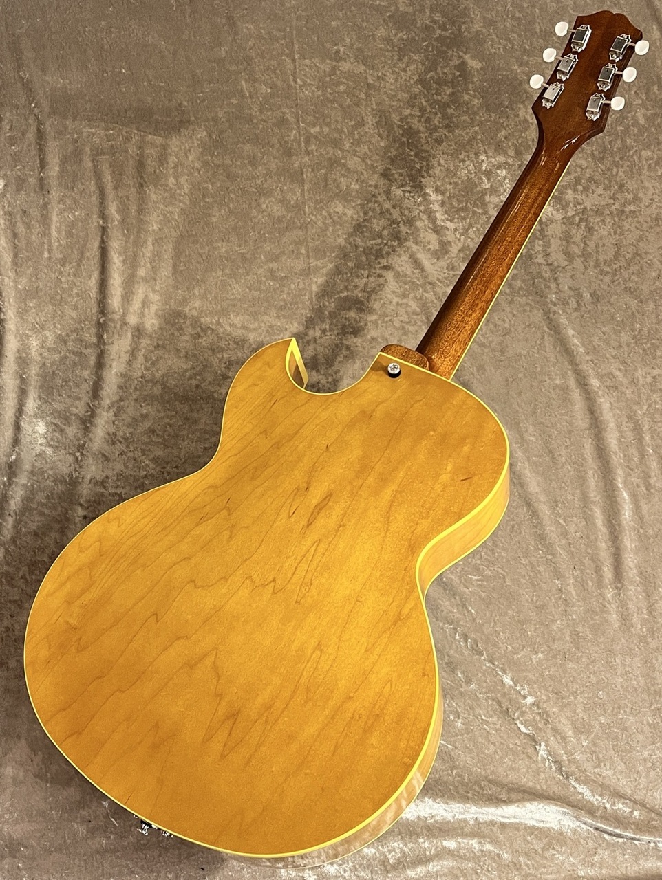 KING SNAKE 【NEW】Curtis Deep Body Amber Natural sn CD-036 [2.66kg