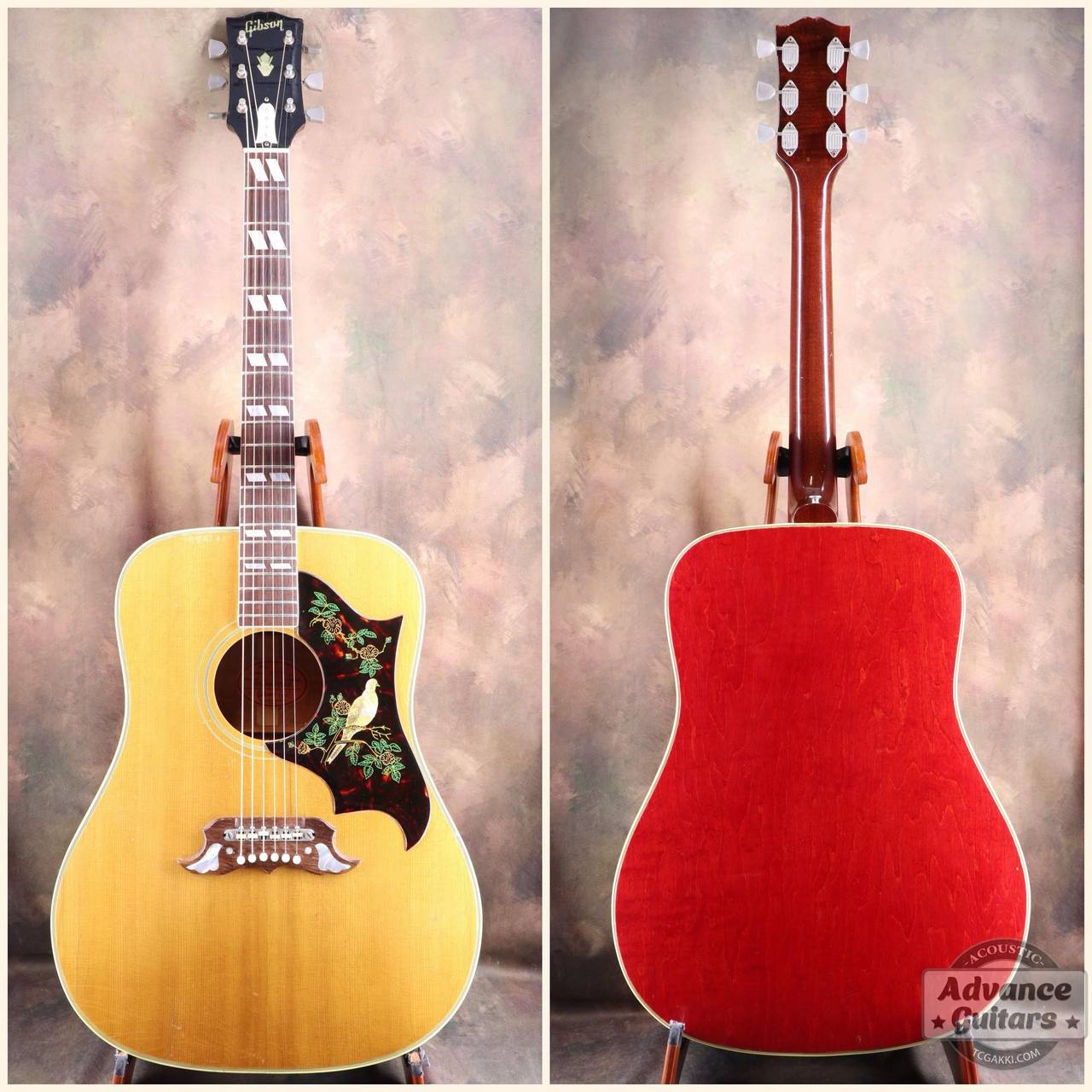 Gibson 1964年製 Dove Natural（ビンテージ）【楽器検索デジマート】