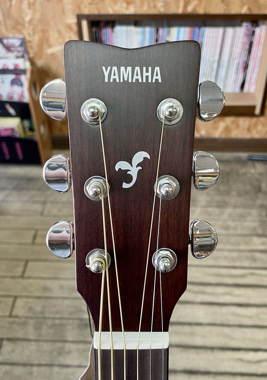 YAMAHA FG-800（新品）【楽器検索デジマート】