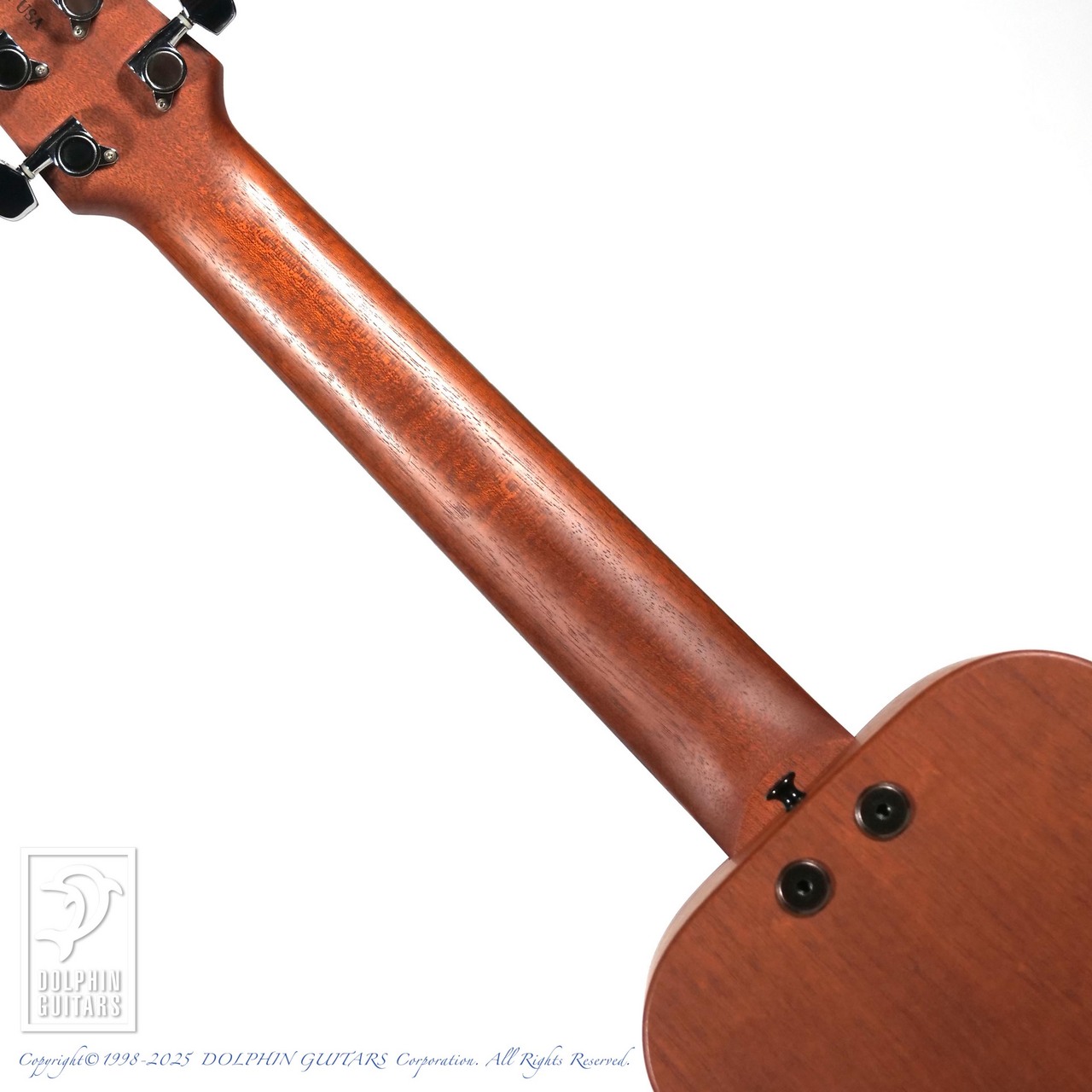 TACOMA P-1（中古）【楽器検索デジマート】