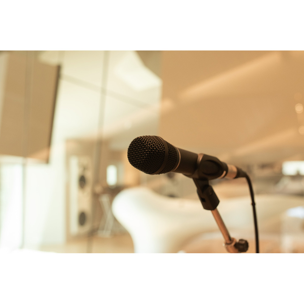 EARTHWORKS SR117 コンデンサーマイク ケース付き EARTHWORKS ( アースワークス ) SR117 ハンドヘルド型 コンデンサー