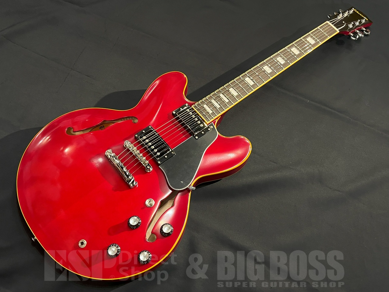 ギター Edwards E-SA-STD CHERRY bigsby moded Edwards E-SA-STD CHERRY bigsby moded Edwards Semi-Hollow