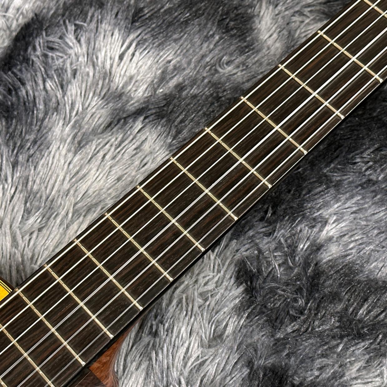 K.Yairi CE-3 NS -Nylon Electric Series-（新品/送料無料）【楽器検索