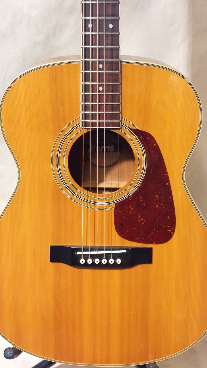 Morris MF-207（中古）【楽器検索デジマート】