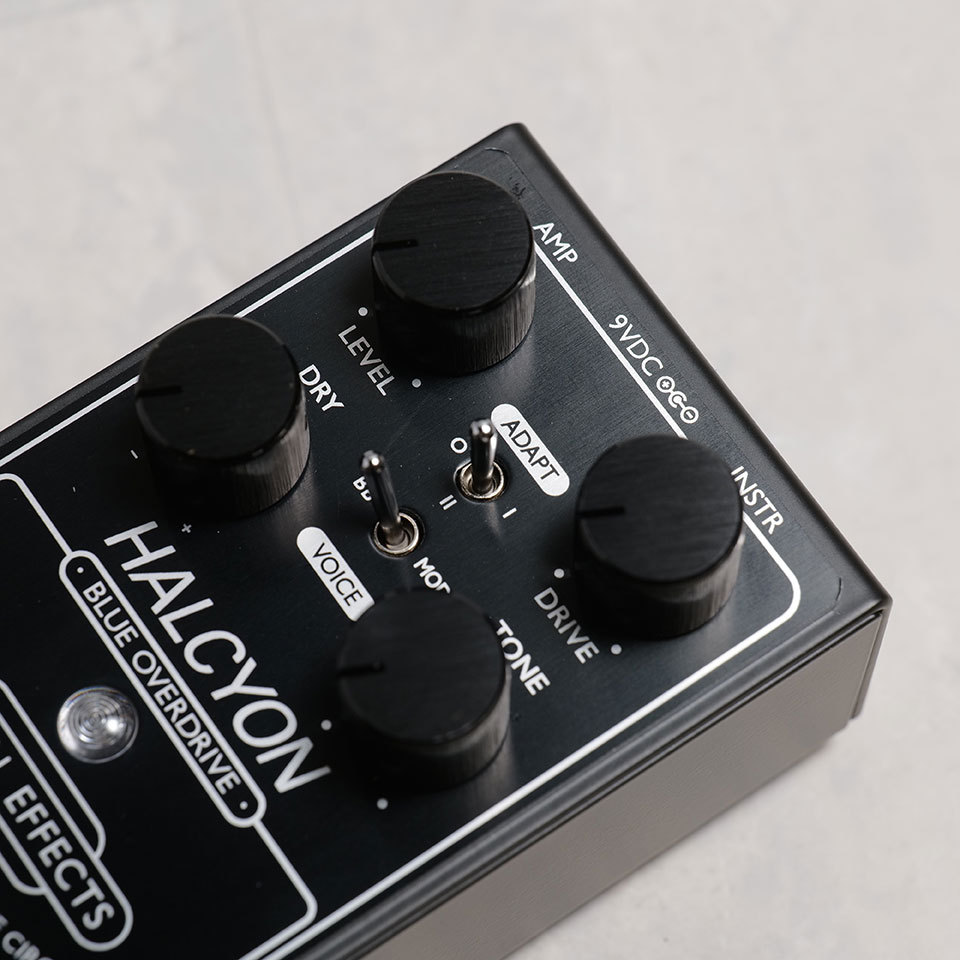 ORIGIN EFFECTS Halcyon Blue Overdrive Black Edition（新品/送料無料
