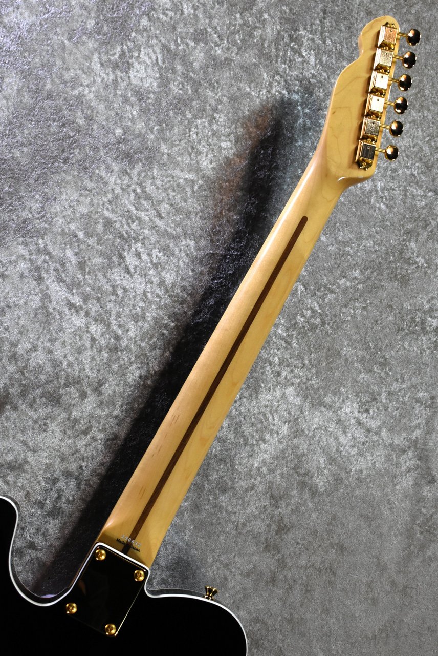 Tokai ATE-101B/G BBR #250632【待望の入荷、漆黒指板、軽量3.56kg