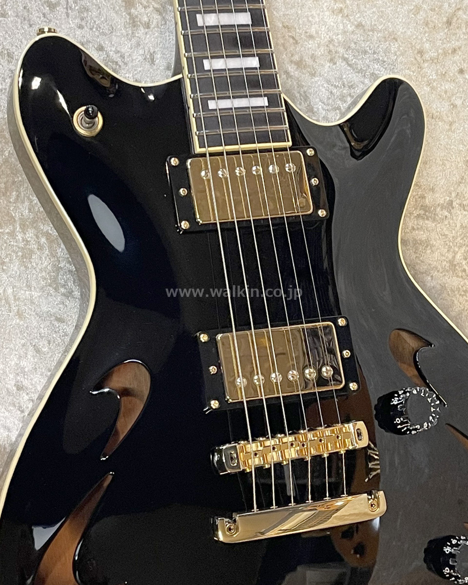 T's guitars Arc Hollow Jazz T's Guitar Arc Hollow-22 (Cusome Made