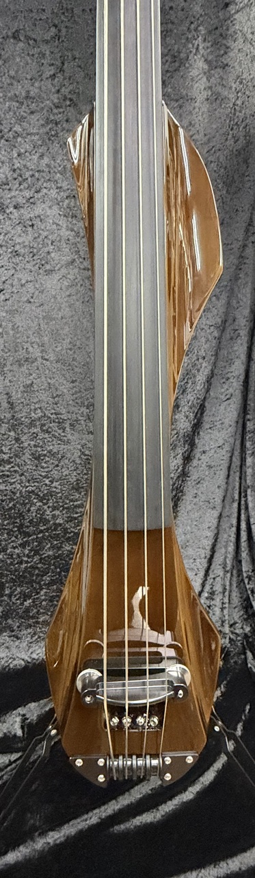 ARIA SWB-200 BR（新品）【楽器検索デジマート】