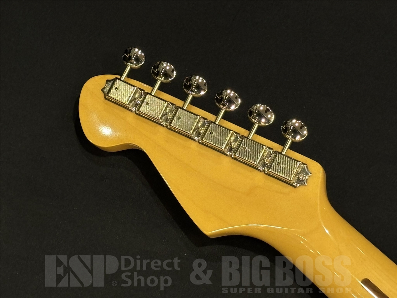 Tokai AST-102/R / Black（新品/送料無料）【楽器検索デジマート】