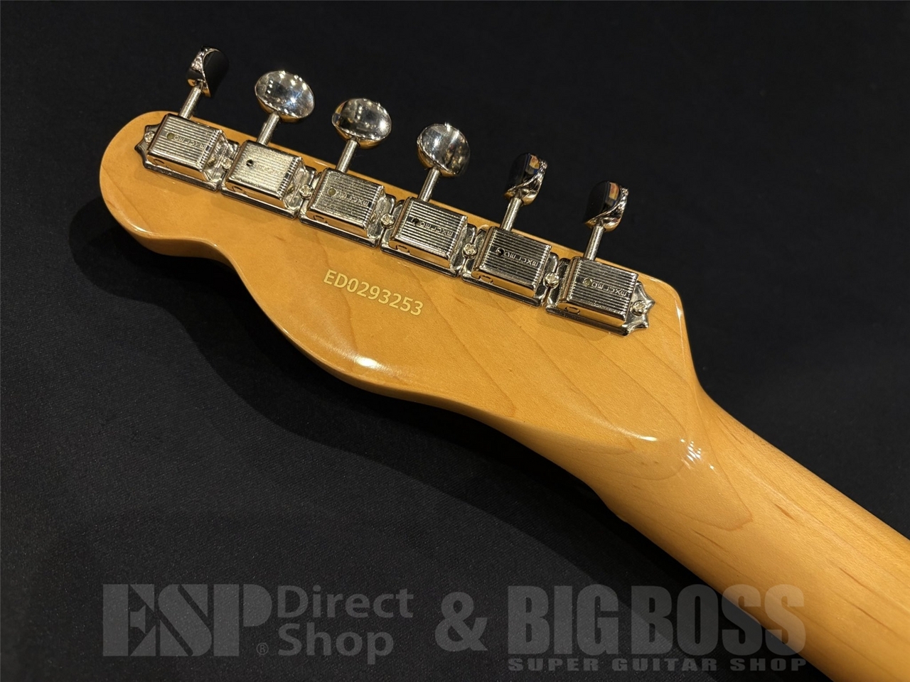 EDWARDS E-TE-ASM / Blond（新品/送料無料）【楽器検索デジマート】