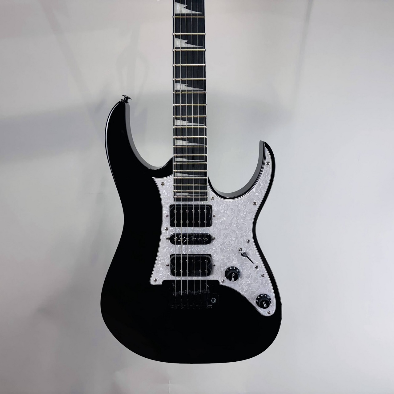 Ibanez RGV250 BK【現物画像】≒3.52kg（新品/送料無料）【楽器検索
