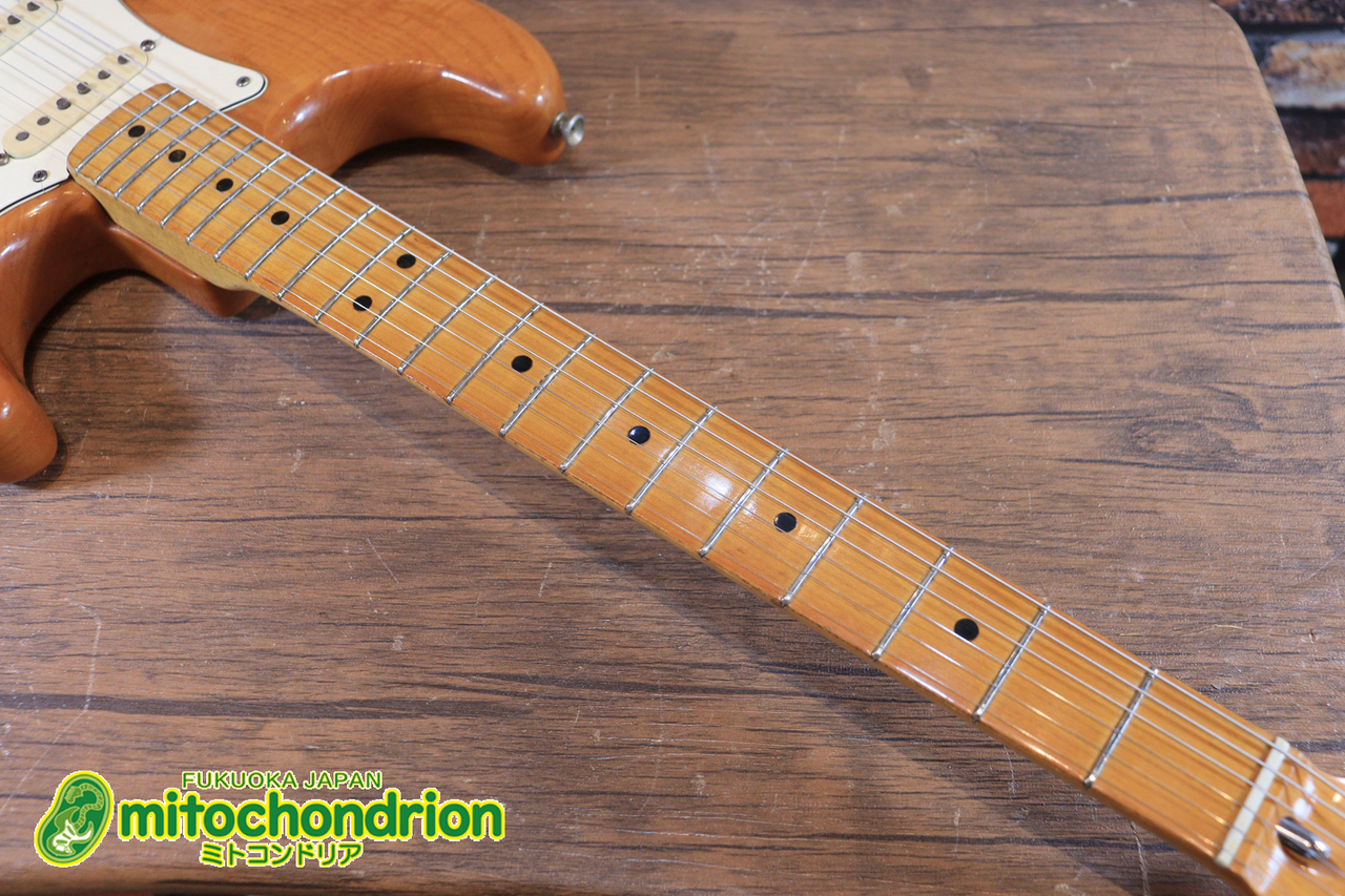 Fender 1974年製 STRATOCASTER / Natural（ビンテージ）【楽器