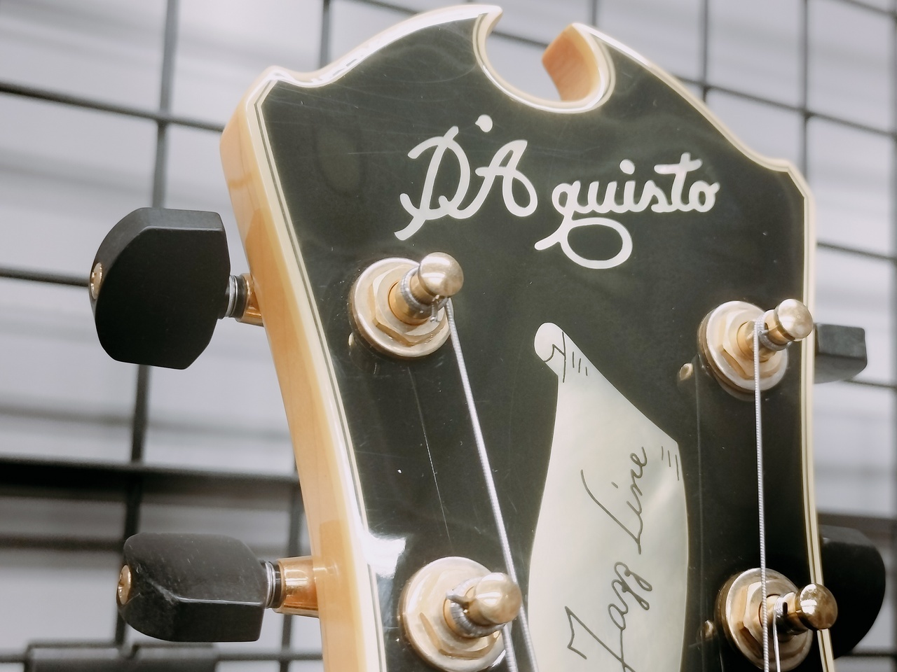 D'Aquisto DQ-JZ-JR NAT JAZZ LINE Jr(ダキスト ジャズギター 生産完了