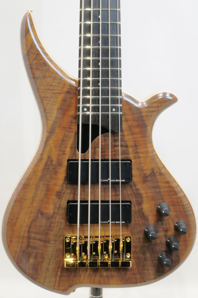 Tune TWB-5 EX Flame Walnut/Ash（新品特価）【楽器検索デジマート】