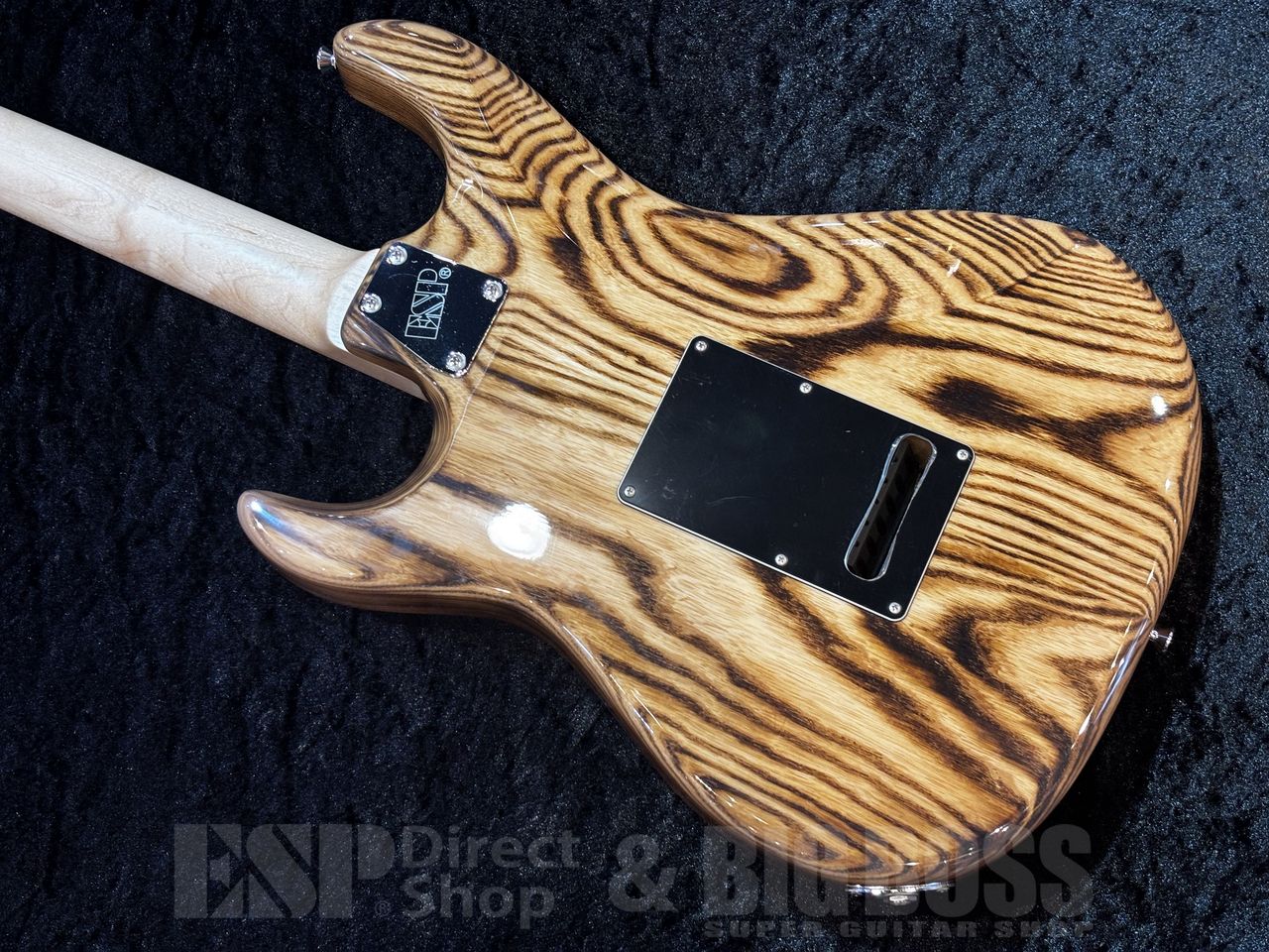 ギター Edwards snapper burnernatural EDWARDS E-SNAPPER-AS/M 【Burner Natural】（新品特価/送料無料