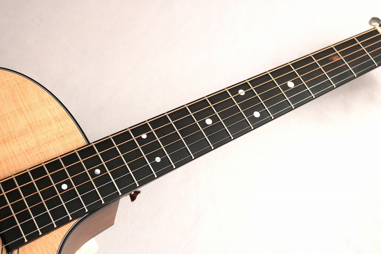 Martin GPC-16E-02 #2961196【エレアコ】【薄型ボディ】（新品）【楽器