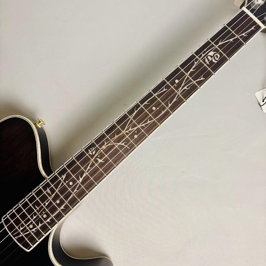 Ibanez TOD10N Tim Henson シグネチャー エレガットギター Ibanez TOD10N TKF エレガットギター Tim Henson Signature
