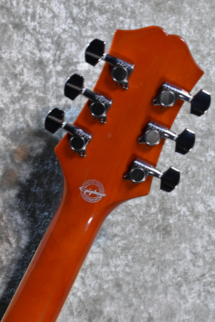 Epiphone Limited WILD KAT【2009年製/USED】【3.85kg】（中古）【楽器