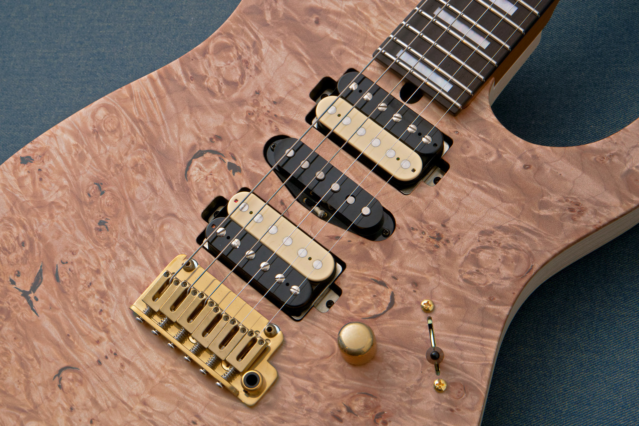 T's Guitars DST Pro 24 w/Waterfall Burl Maple -Natural / Steps