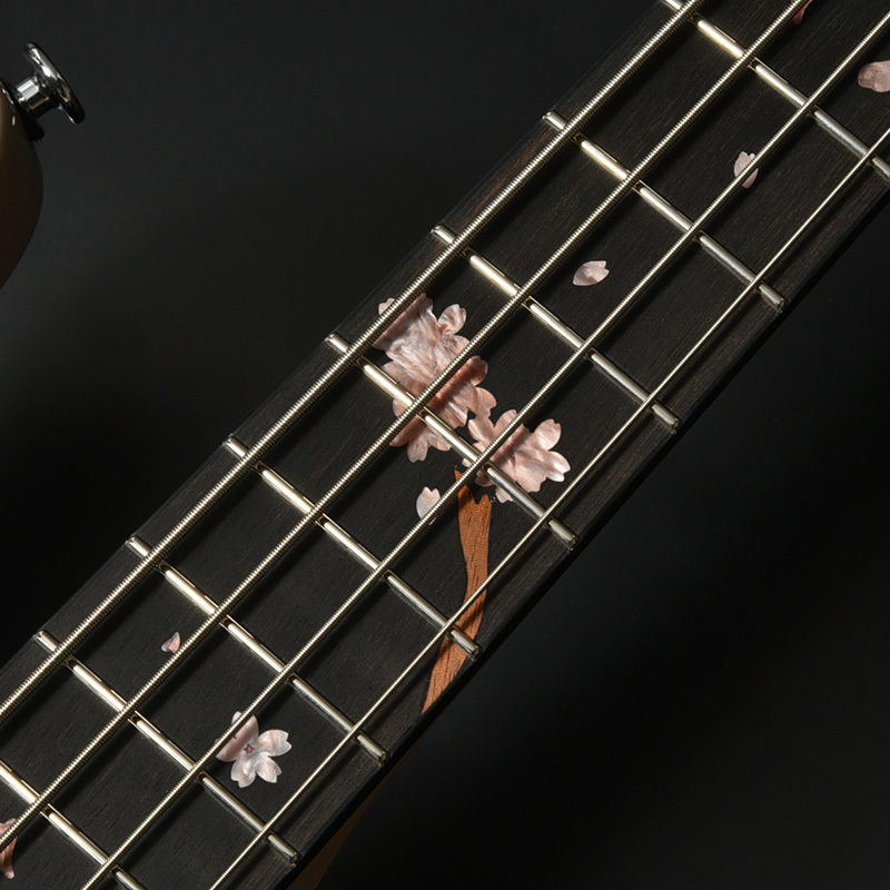 超美品　Bacchus エレキベース ブラック　SKY Bacchus Handmade WOODLINE-HOLLOW4 SAKURA SP'25/E (SKY-GRD