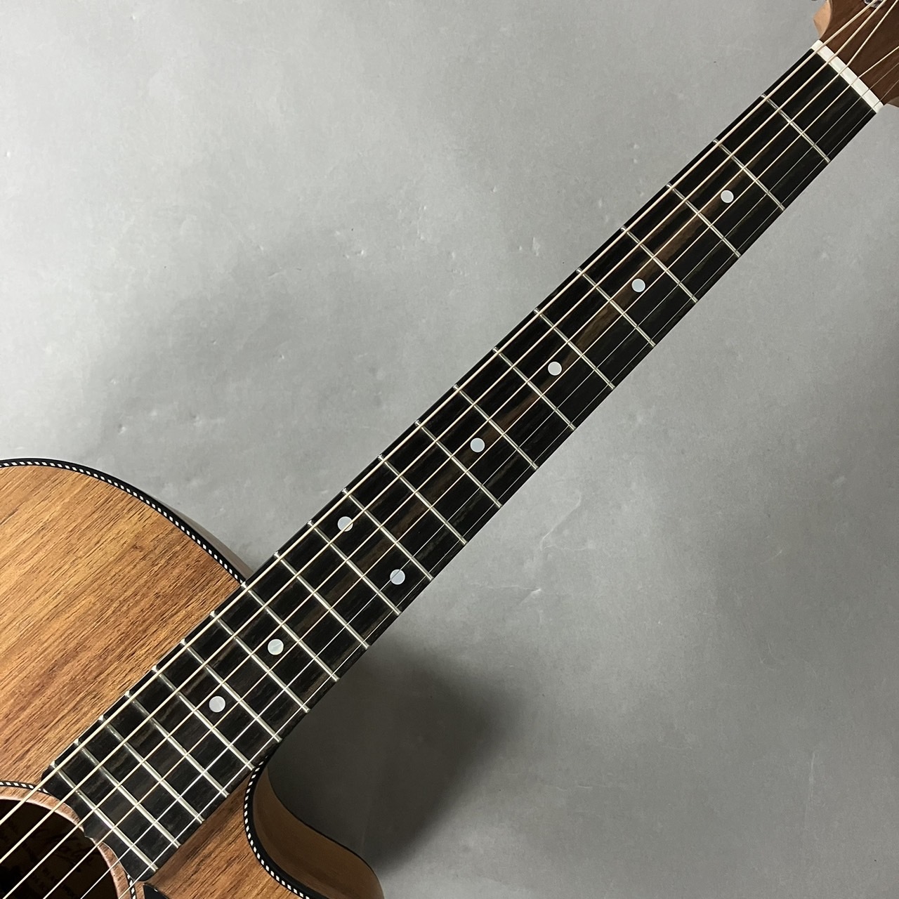 MATON EBW808C エレアコギター メイトン（新品/送料無料）【楽器検索デジマート】