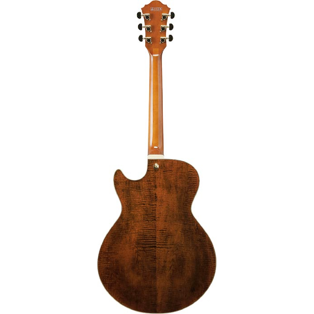 Ibanez 【スポット生産!!】AG95MG-DA(Dark Amber)【オンラインストア