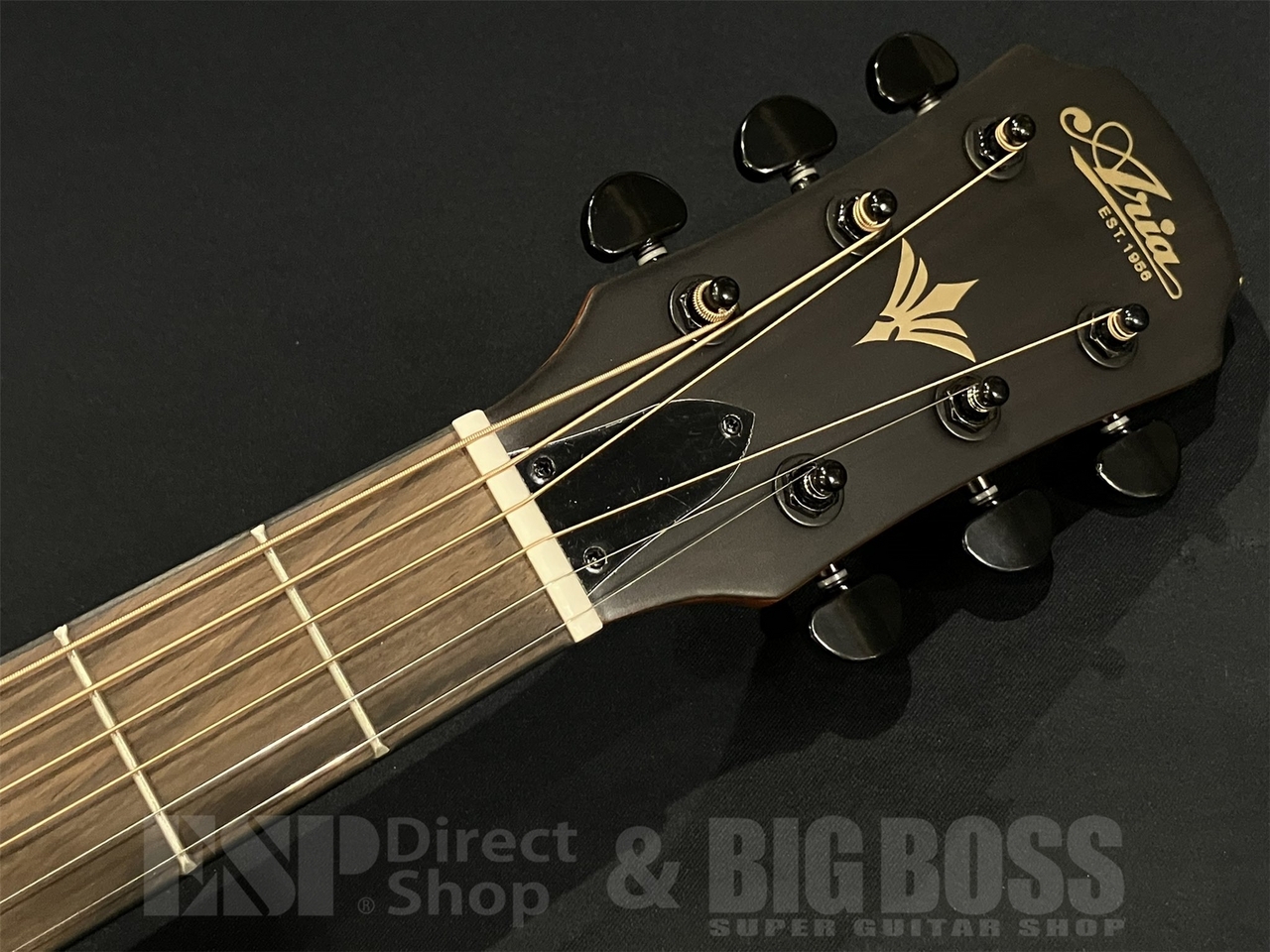 美品 ARIA FET-F2 STBR Stained Brown【整備品】 FET-F2 STBR | Elecord | Products | ARIA 荒井貿易株式会社 Arai & Co