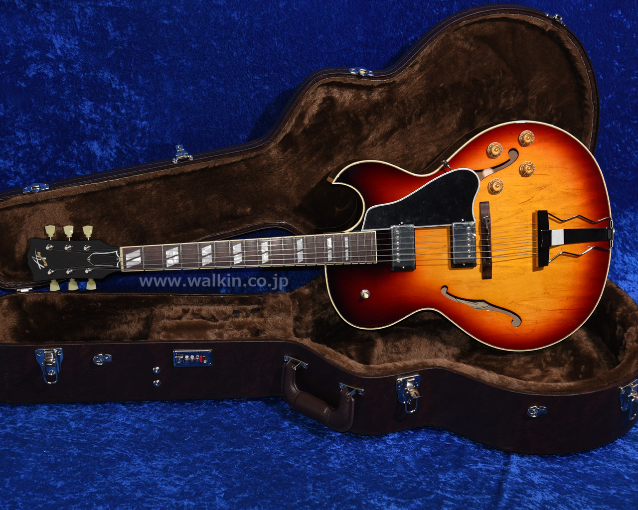 Archtop Tribute AT105D（新品）【楽器検索デジマート】