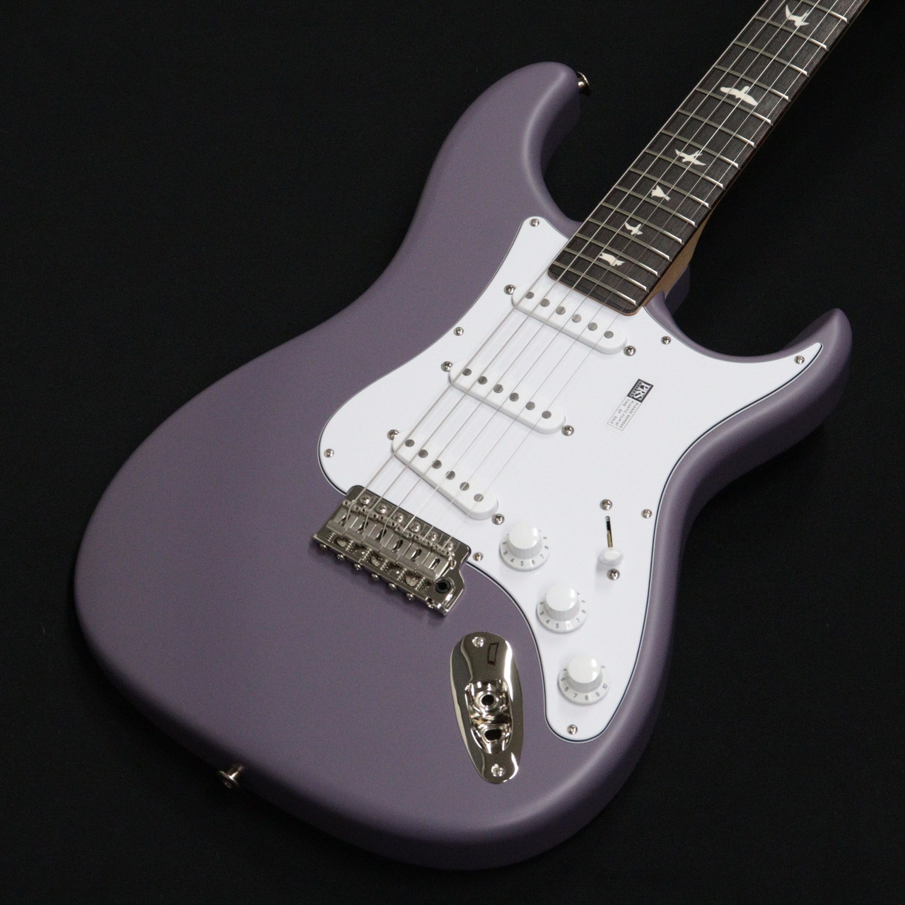 Paul Reed Smith(PRS) SILVER SKY Rosewood Black Plum Satin 【NEW