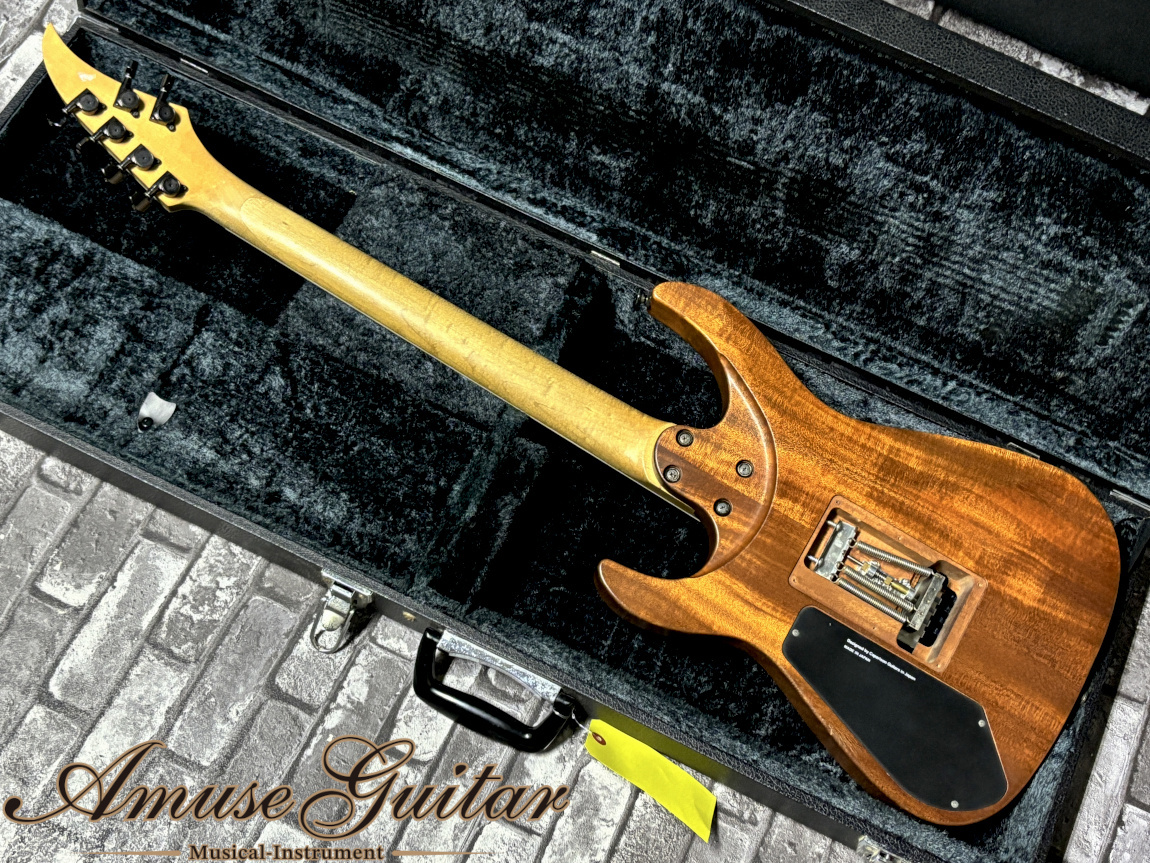 Caparison Dellinger SE Oiled Mahogany 2010年製【Made in