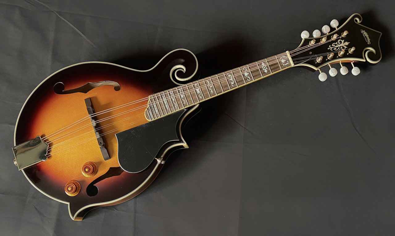 Stafford SF-FM Electric Model(中古)【楽器検索デジマート】 Stafford SF-FM Electric Model(中古)【楽器検索デジマート】