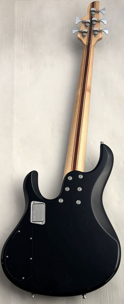 ESP HALIBUT-ASH -BLK-【USED】（中古）【楽器検索デジマート】