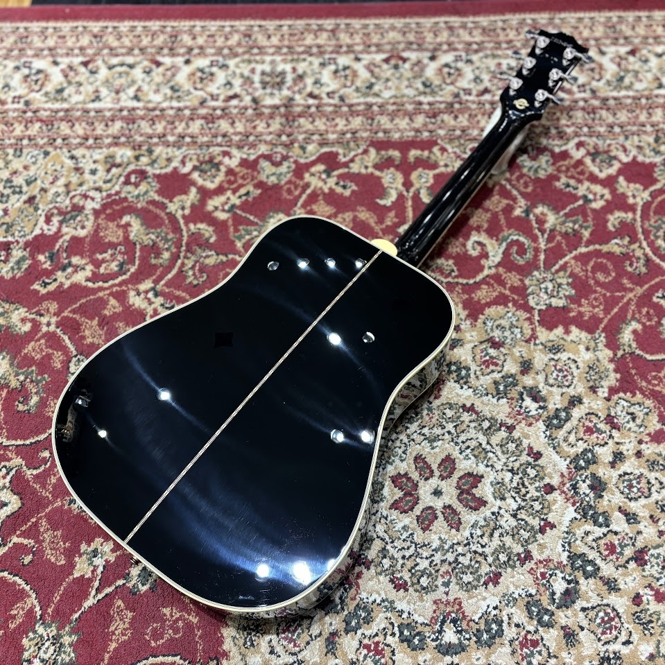 Gibson Dove Original Ebony【現物写真】（新品/送料無料）【楽器検索