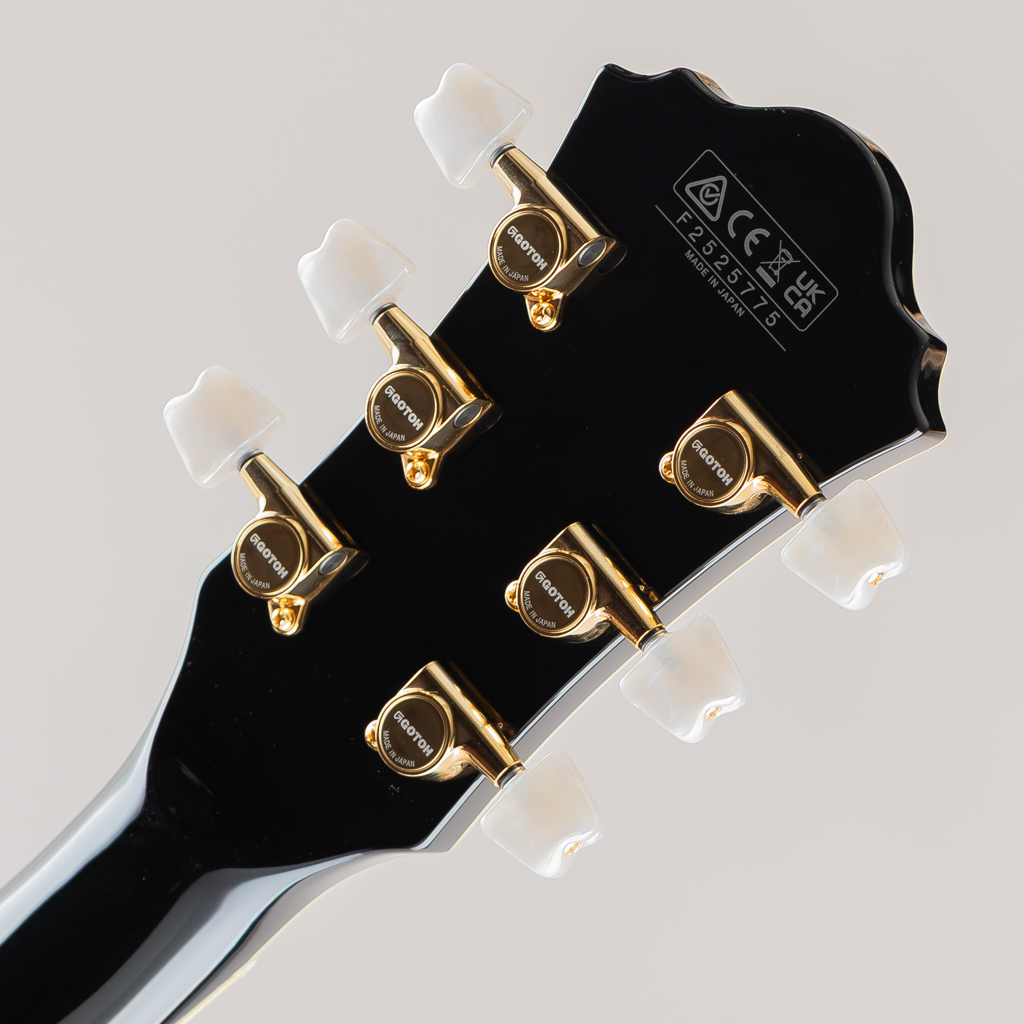 レア楽器　シャズセン　ダブルボディ　細棹 Ibanez GB10 / Black（新品/送料無料）【楽器検索デジマート】