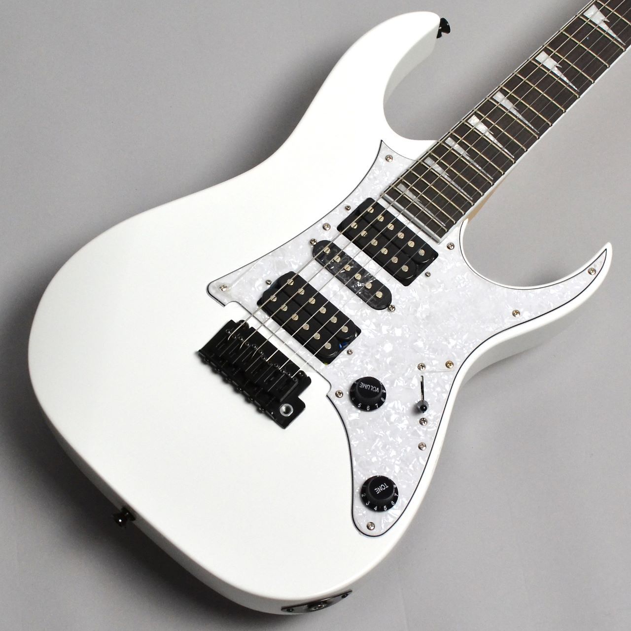 Ibanez RGV-250