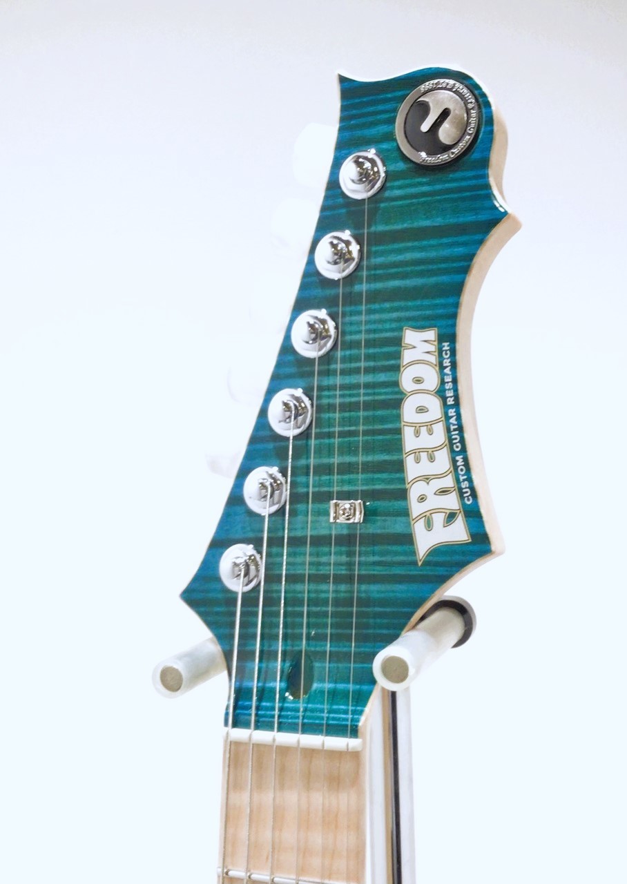 FREEDOM CUSTOM GUITAR RESEARCH Hydra 24F Premium Grade