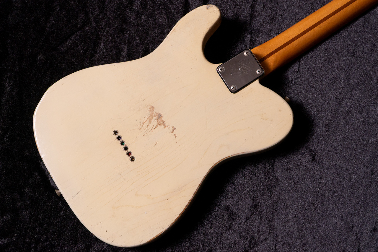 NO BRAND Fender Mex Esquire Neck & No Brand TL Body w/Grinning Dog