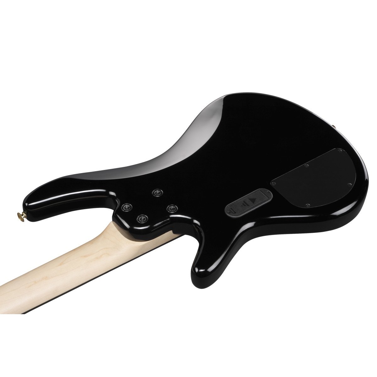 Ibanez Gio GSR205PC-TPB (Transparent Pale Black Burst