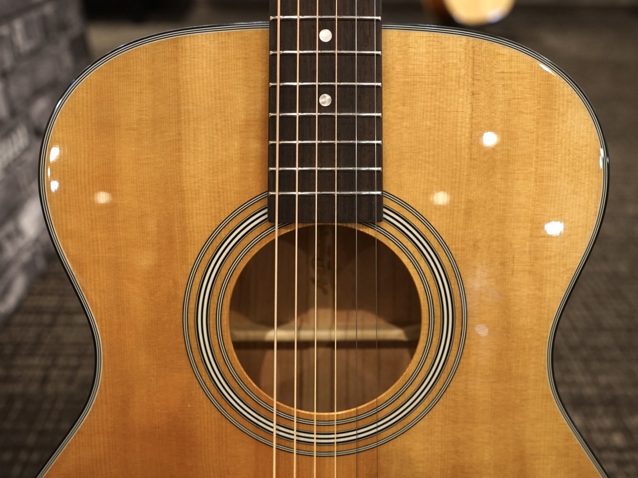 Aria TG-1N アコースティックギター 弦交換済み ソフトケース付き