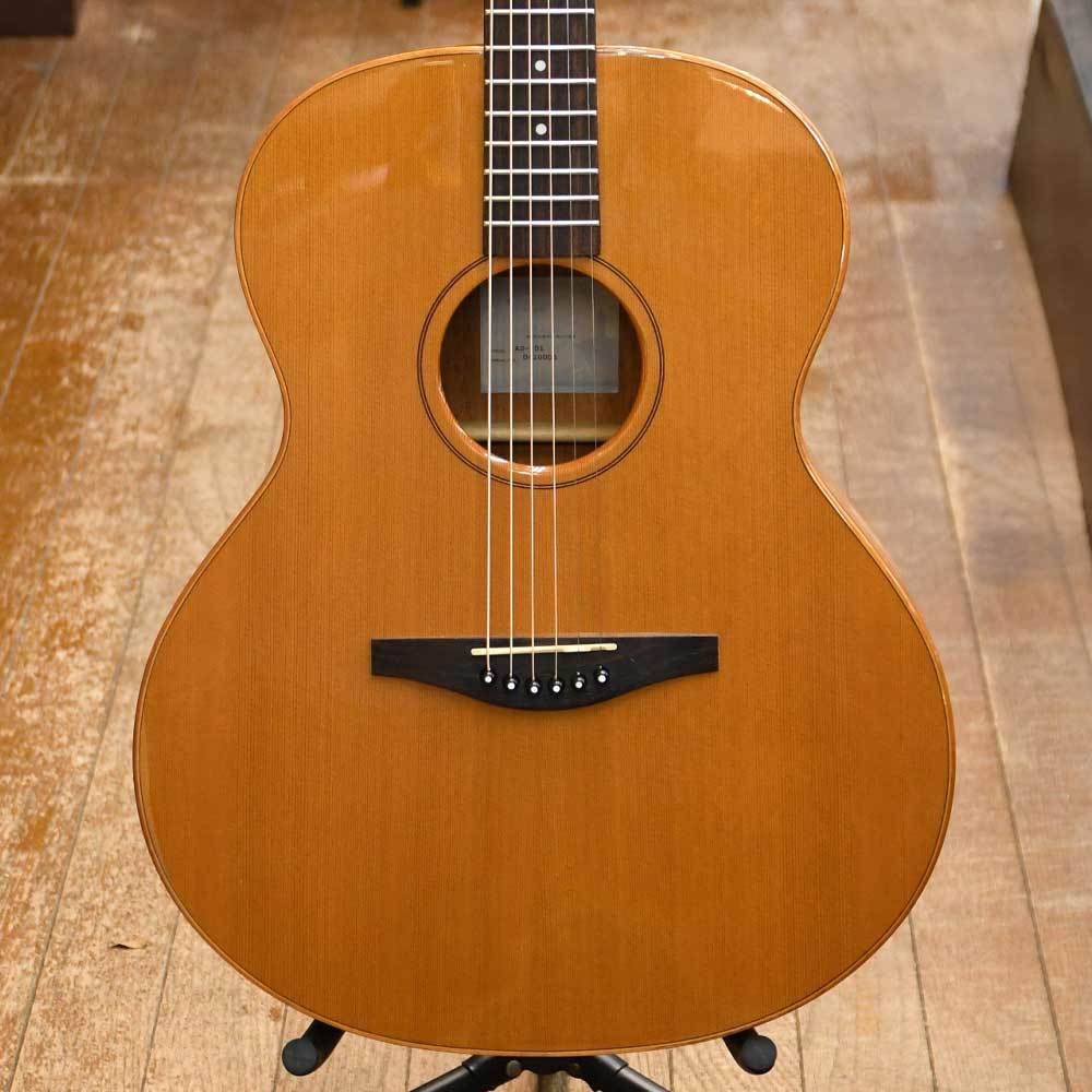AVALON Guitars AS-101（中古）【楽器検索デジマート】