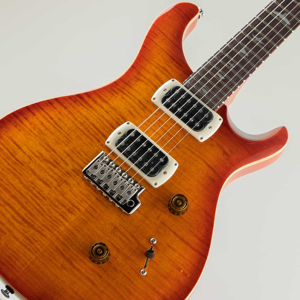 Paul Reed Smith(PRS) SE Custom 24/Vintage Sunburst【2025】（新品