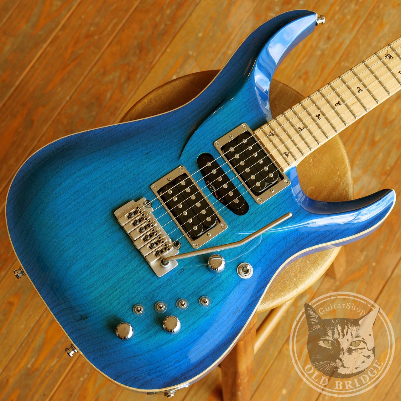 G-Life Guitars DSG Life ASH Piezo Royal BlueTurquoise（中古 