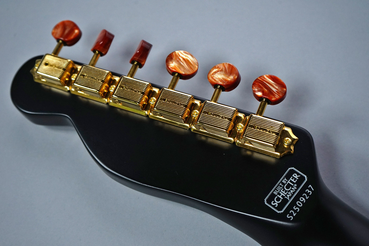 SCHECTER L-S-PT-AL-CTM/R 【ステンレスフレット・カスタムオーダー