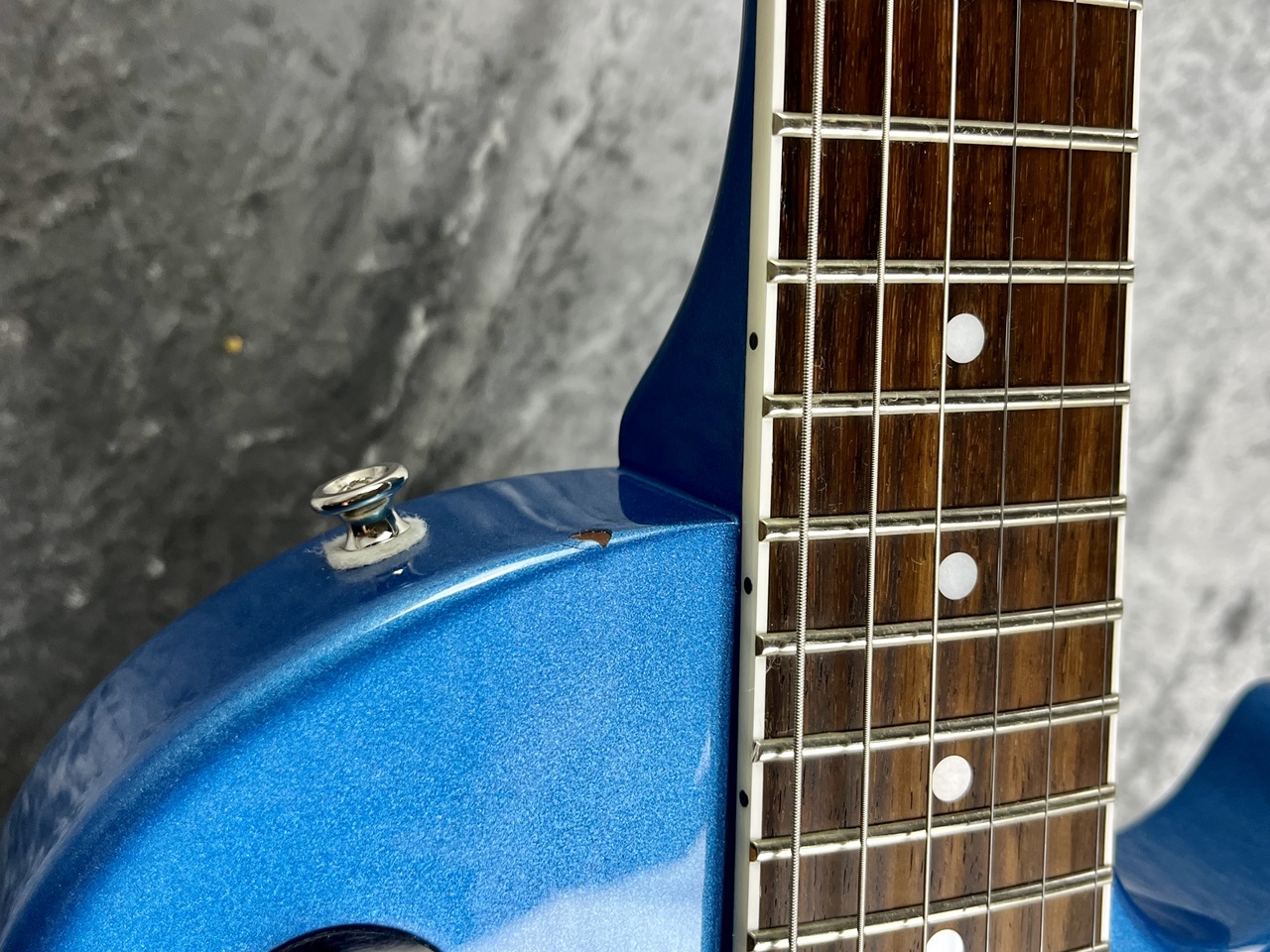 Tokai 【特選中古セール】CustomOrder LSS-238CM -Blue Flower- 【2024