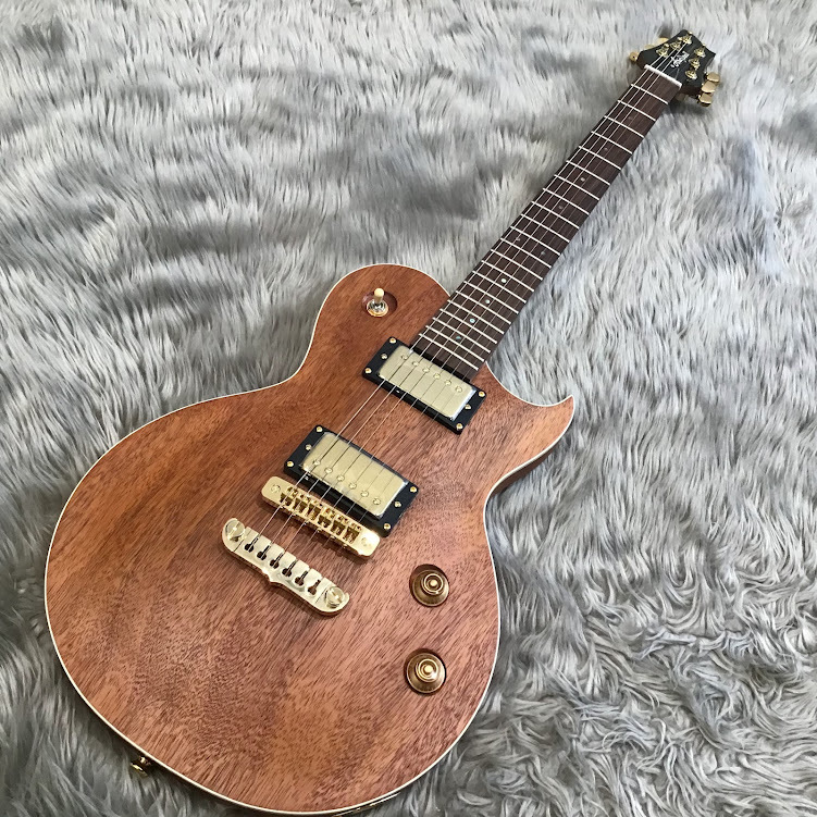 Aria Pro II PE-MAHO2【チョイキズ特価・】（新品特価/送料無料